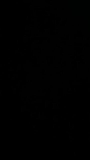 Partridge in a pear tree