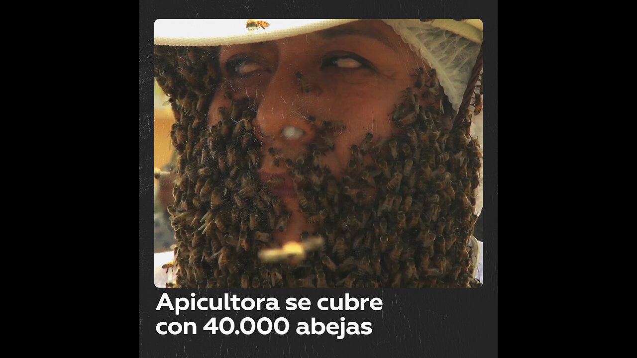 Una apicultora sorprendió a todos al cubrirse con 40.000 abejas