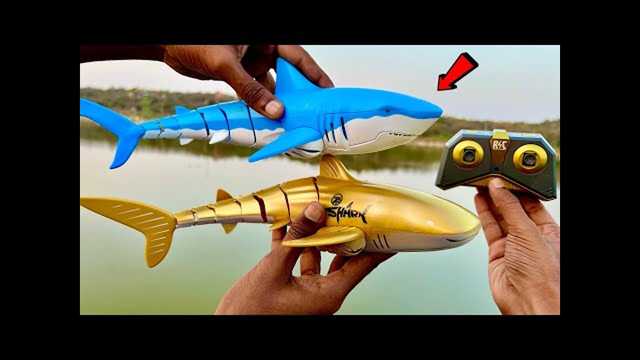 Fastest RC Tigerhead Shark Vs RC Golden Shark Unboxin!