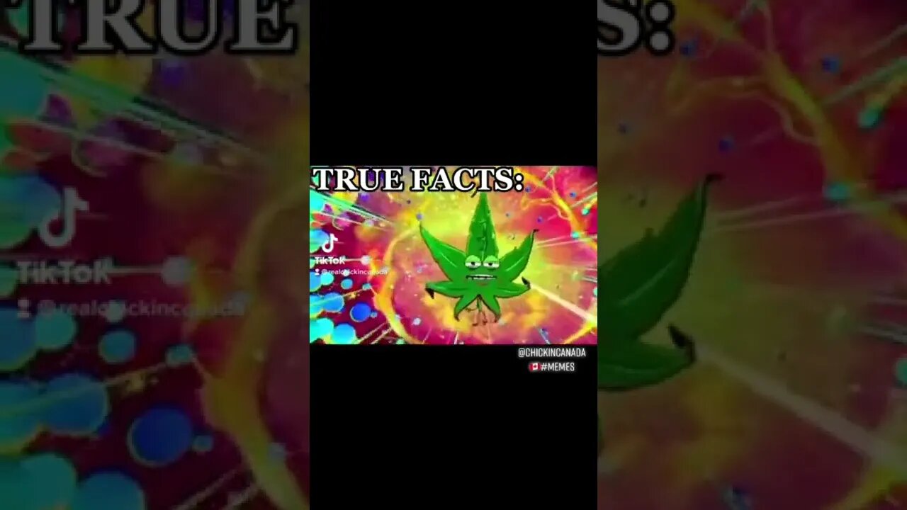 TRUE FACTS | #meme #shorts