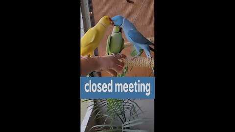 closed meeting