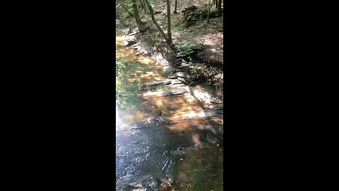 Playing in the creek