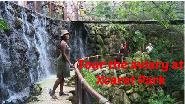 Incredible look inside Aviary at Xcaret Park, Mexico