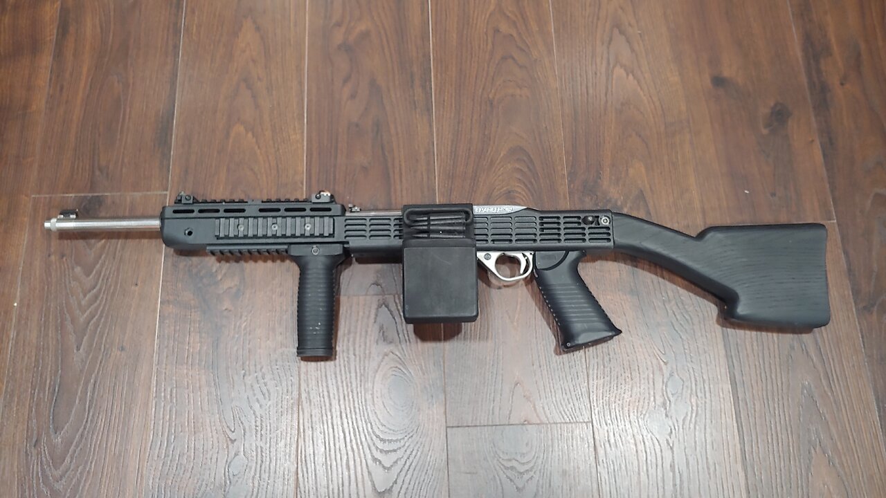 Ruger 10/22 Custom Build ( Tapco Intrafuse Mini Machine Gun )