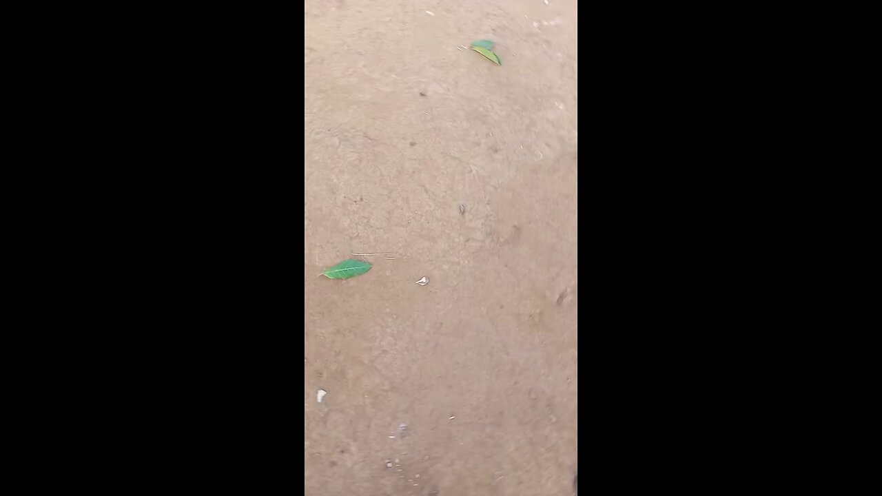 When my boys visiting village