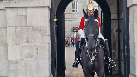 Tourist and guard not happy with this mother #horseguardsparade