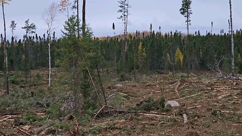 Mid October in Northern Ontario