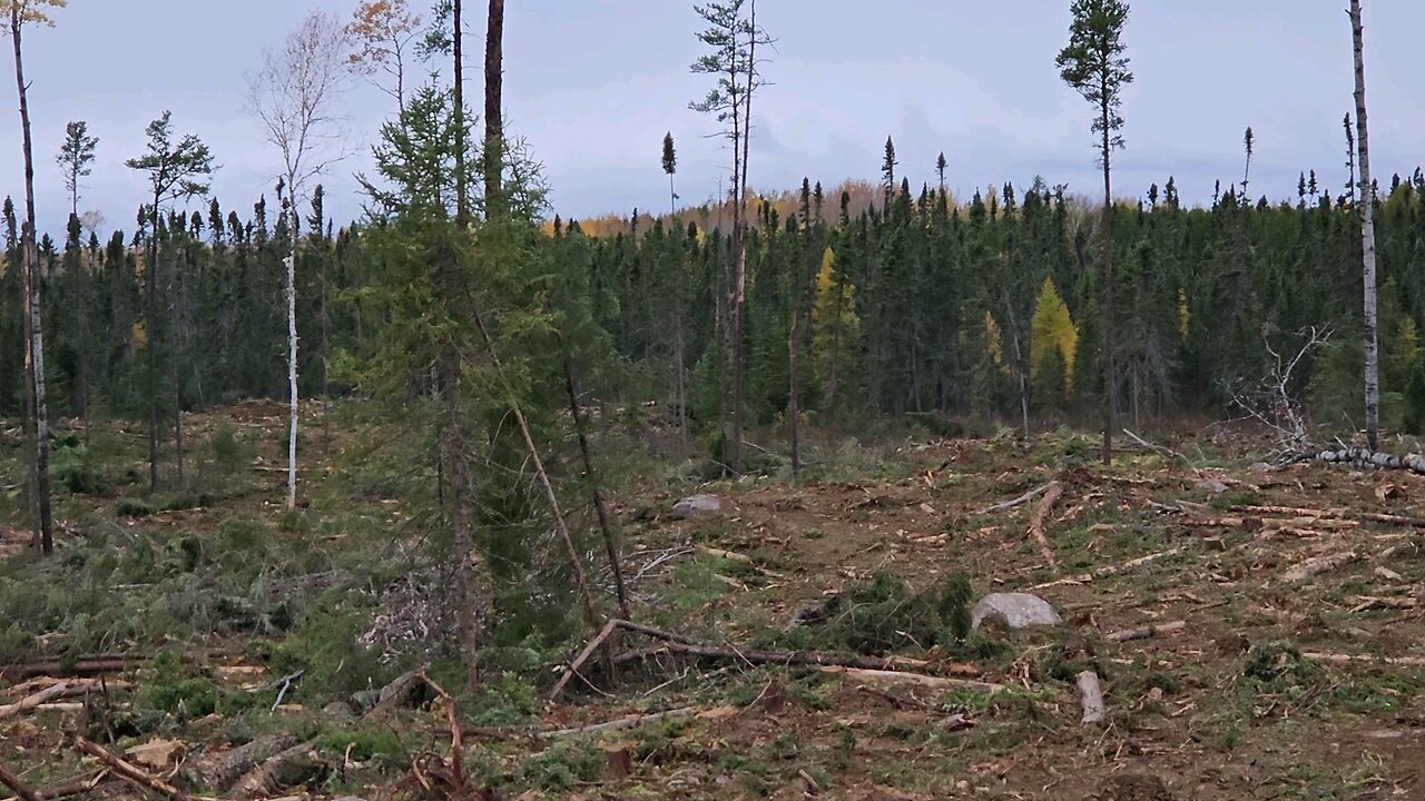 Mid October in Northern Ontario