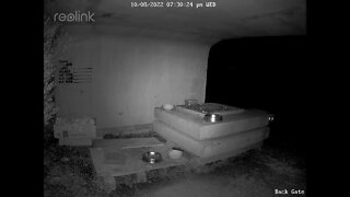 Fox still looking