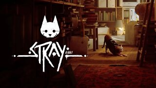 Stray Gameplay em PT BR Parte 2 4K 60FPS Sem Comentários