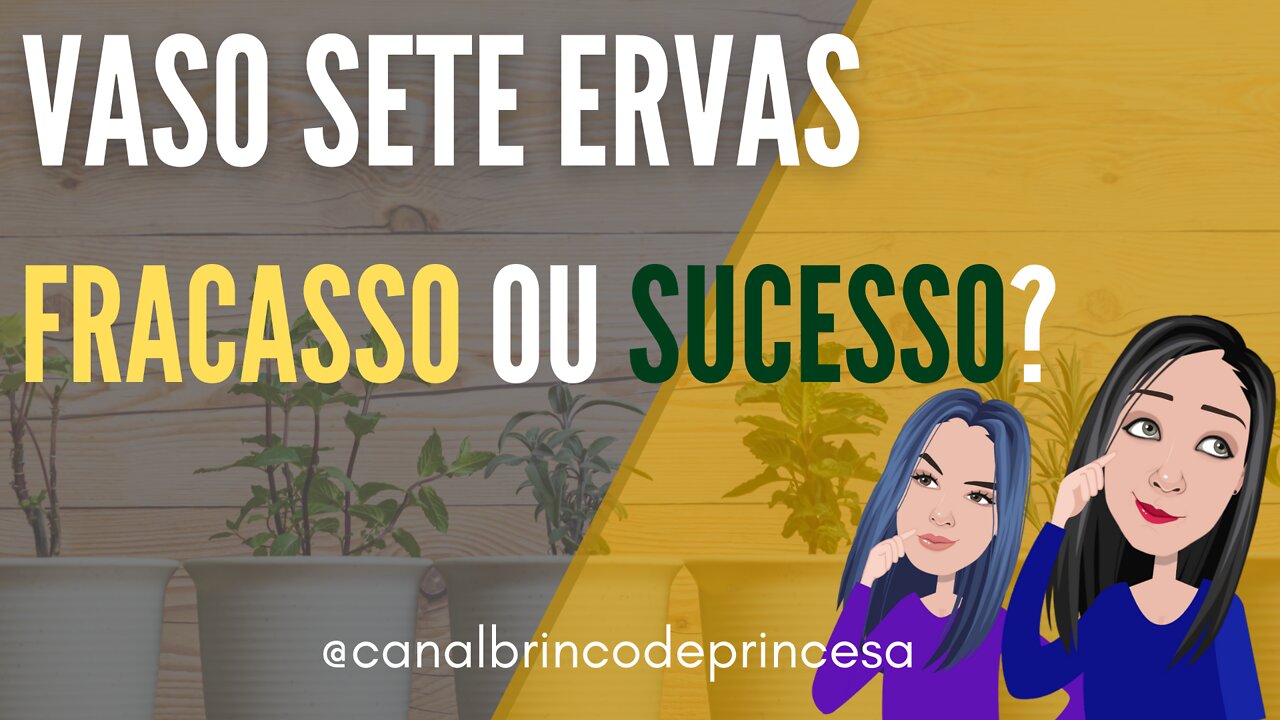 Vaso SETE ERVAS - Aprenda dicas de cultivo