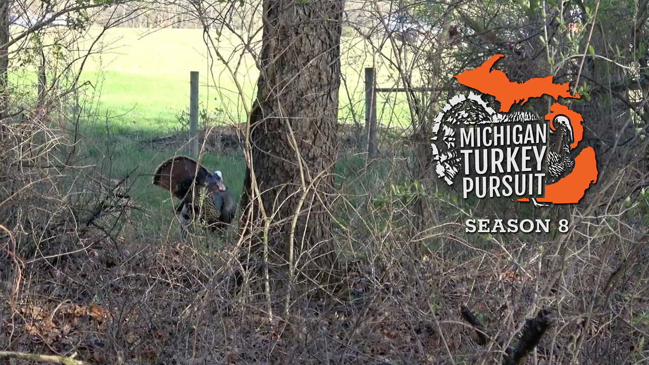 Close Range Turkey and Brother’s First Toms - MTP S8.E3