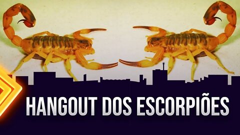 #TBT - HANGOUT DOS ESCORPIÕES 15 DE NOVEMBRO DE 2018