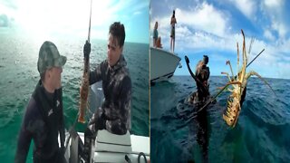 Spearfishing Giant Lobster in the Bahamas.❗