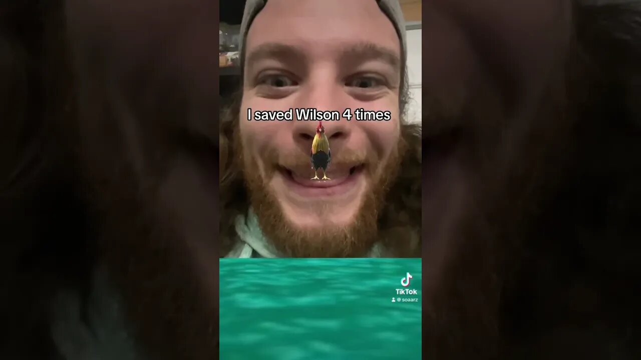 I saved Wilson #growyourchannel #fypシ #shortvideos #fypシ゚viral #tiktok #tiktokvideo #shorts #fyp