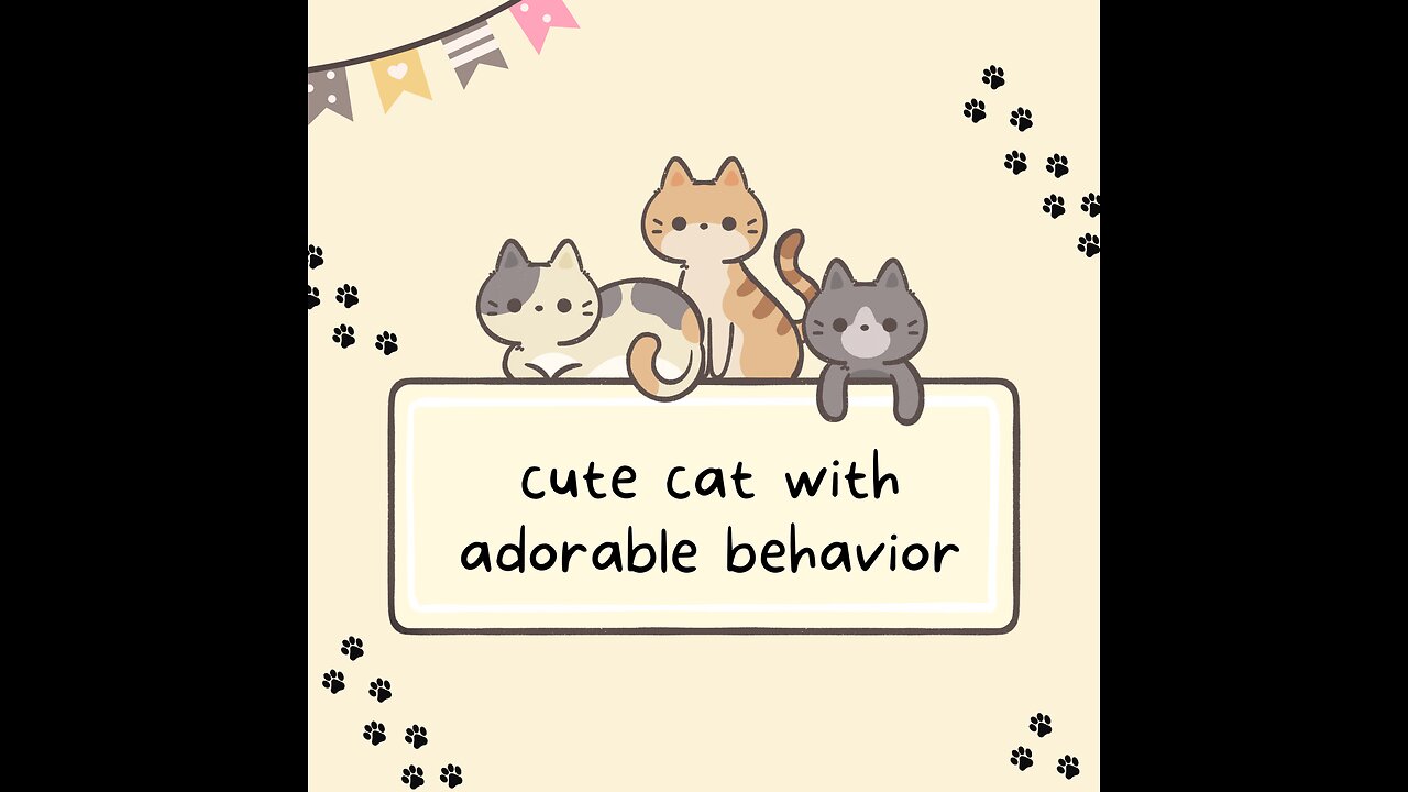 cute cat with adorable behavior