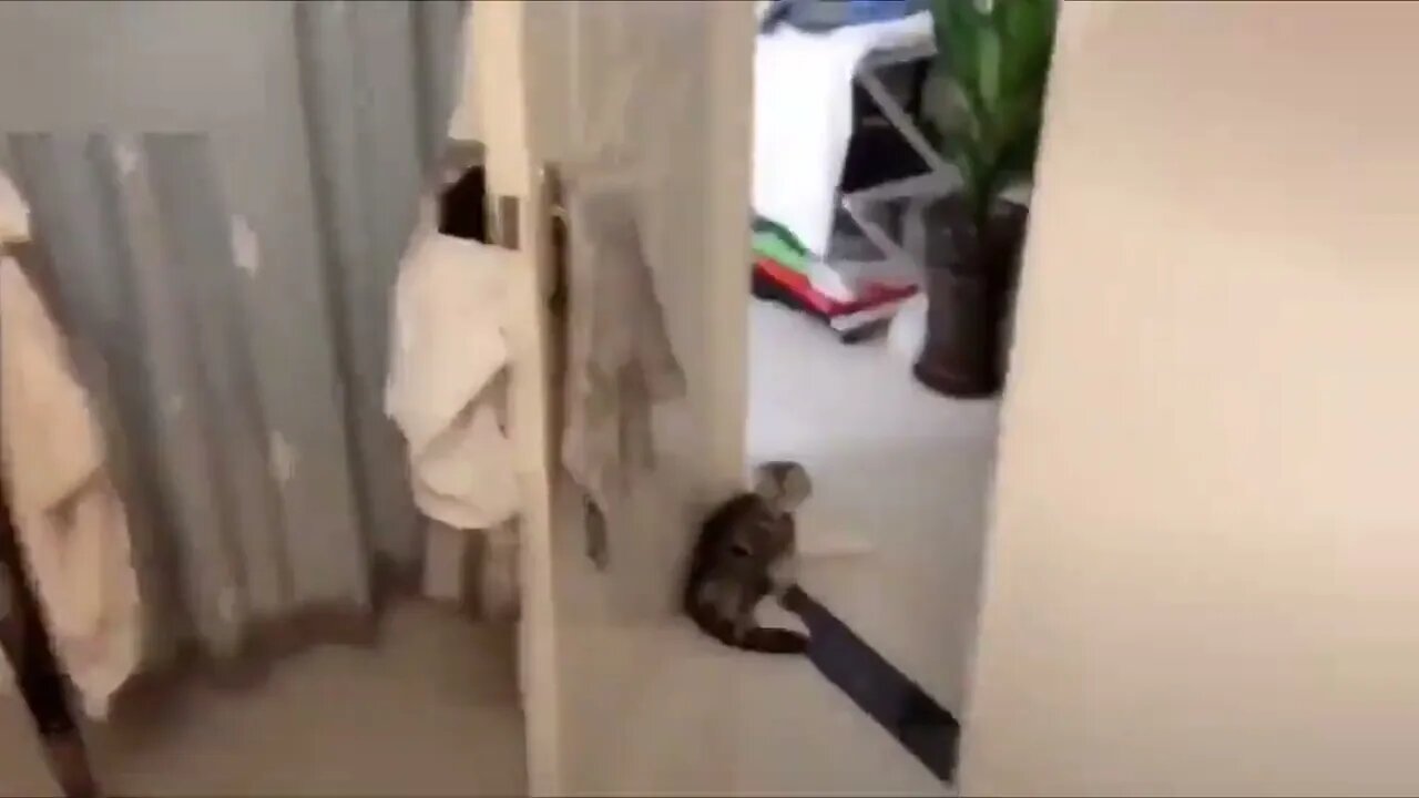 Time to go home, Jeff