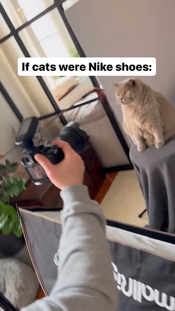 If cars were Nike sneakers