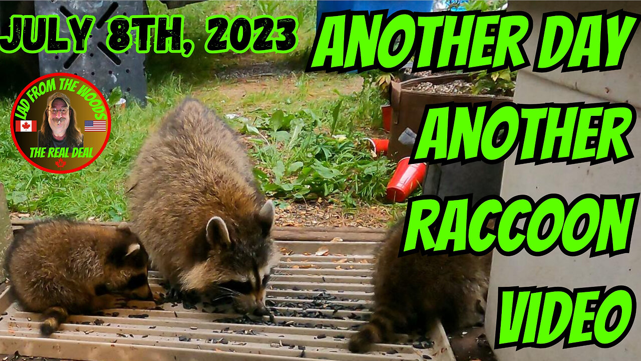 Another Day Another Raccoon Video | July 8th, 2023 |