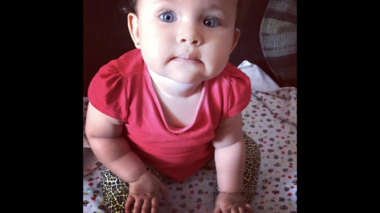Vestida de oncinha - Dressed in leopard - 穿著豹子 - #shorts #linda #bebe #viral