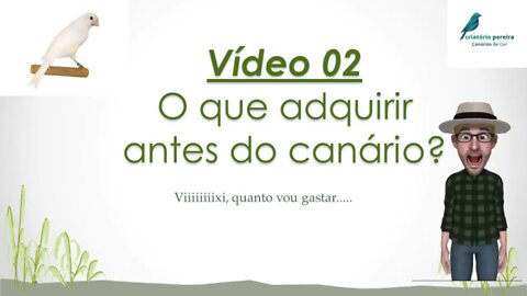 VIDEO 02 O QUE ADQUIRIR ANTES DO CANÁRIO