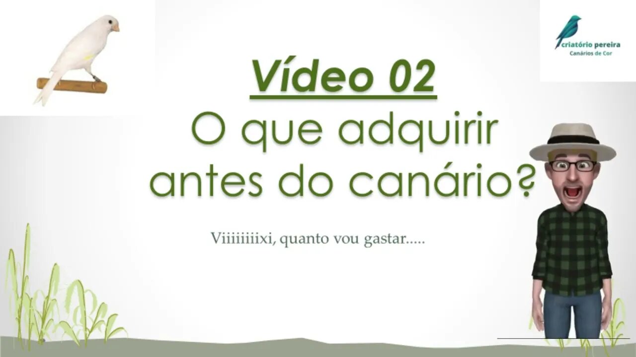 VIDEO 02 O QUE ADQUIRIR ANTES DO CANÁRIO