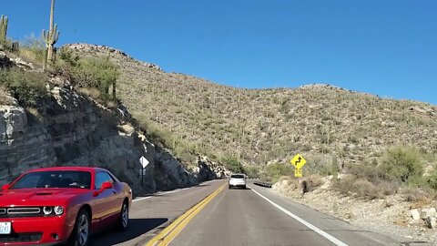 MOUNTAIN ⛰ LEMMON ARIZONA ESTADOS UNIDOS DE AMERICA 🇺🇸