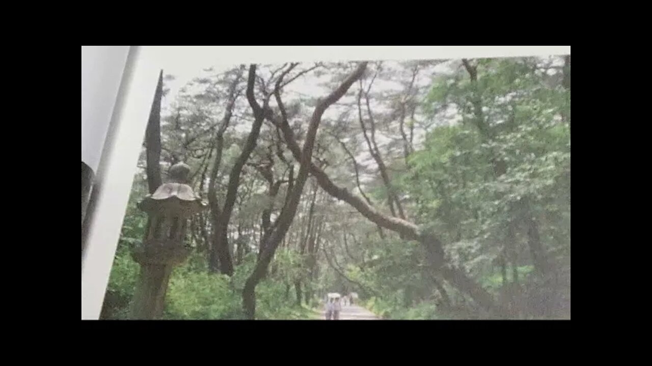 절집의미학, 김봉규, 산사, 해남, 두륜산, 대흥사, 동백꽃, 유선관, 피안교, 서산대사,사명대사,초의선사, 법당, 닫집, 꽃살문, 기단, 기둥, 부도, 편액, 매화나무, 해우소