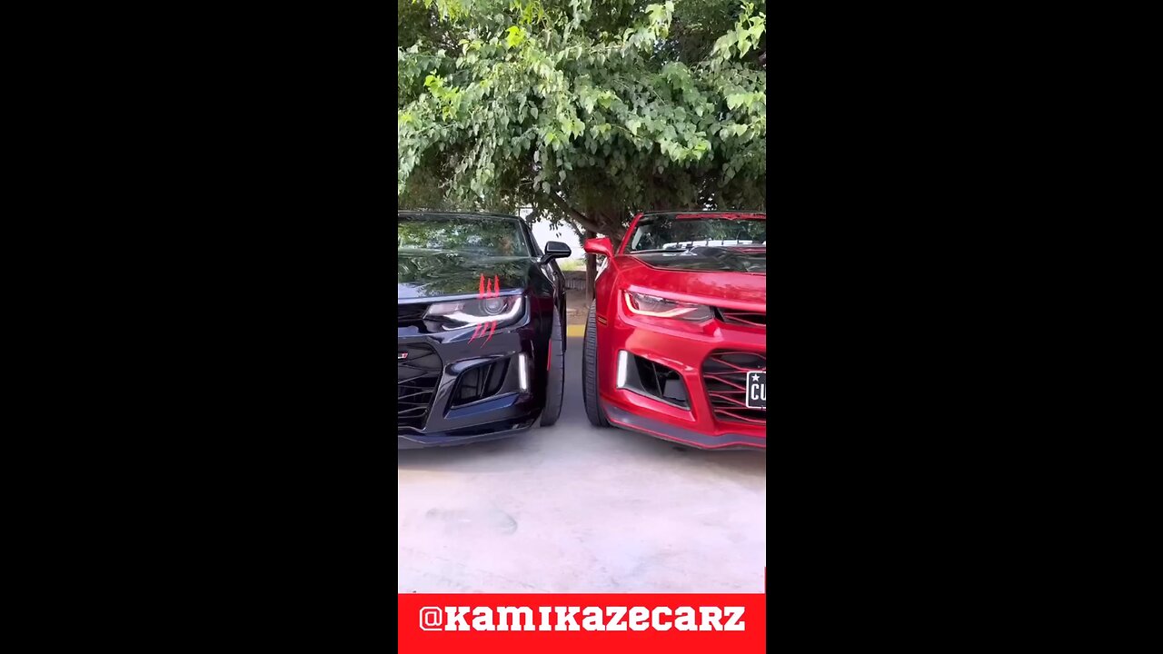 Car lover baby