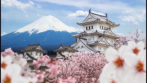 Live 024 - W czym Polska jest lepsza od Japonii?