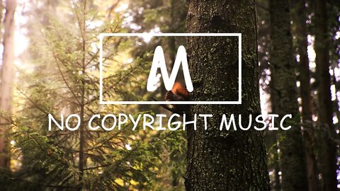 Path to Follow - Jingle Punks（Mm No Copyright Music）