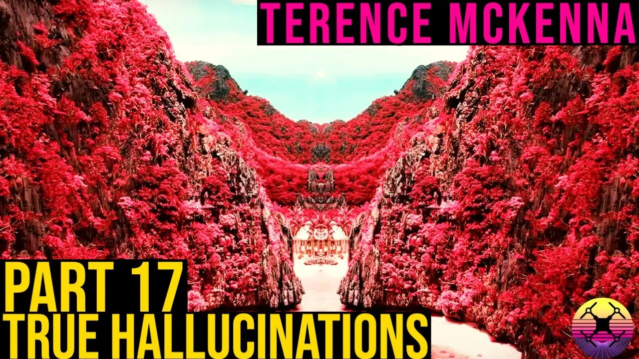 Terence McKenna - True Hallucinations - Part 17