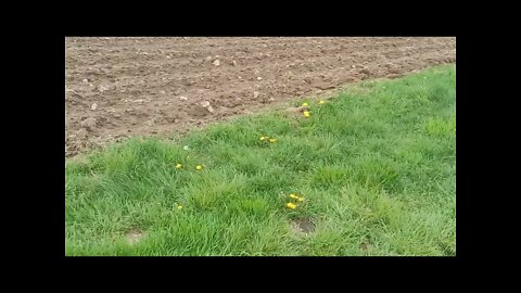 Farming for Self-Sufficiency