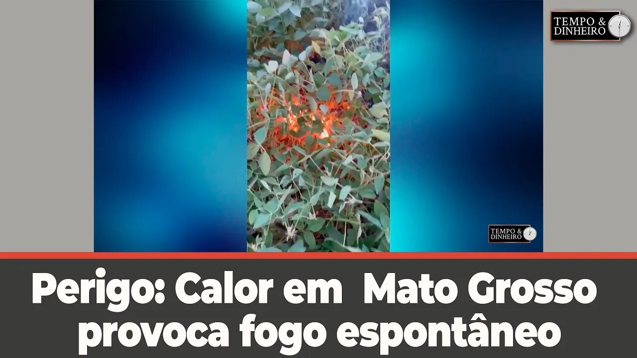 Perigo: Calor em Mato Grosso provoca fogo espontâneo em lavouras de soja de Campo Verde.