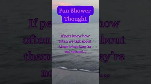 Beach Brainwaves! 🌊 Unexpected Shower Thought Revealed! @AmbientNoiseCo. #showerthoughts #beach