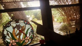 Sonic Sunday 17-Hurricane Edition