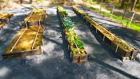 Homestead Garden Tour | Raised Bed, Box Garden