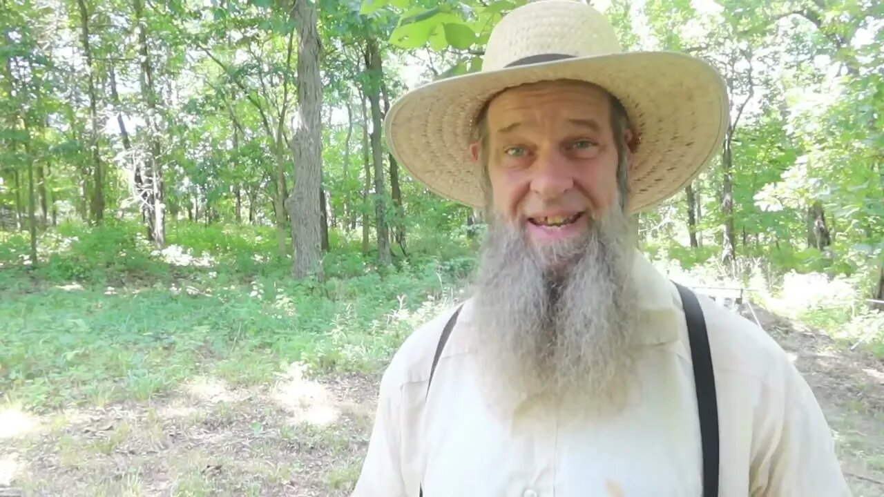 U S Marshalls raid AMISH over FOOD! Small homesteads next?