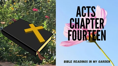 ACTS Chapter 14 | NRSV Bible