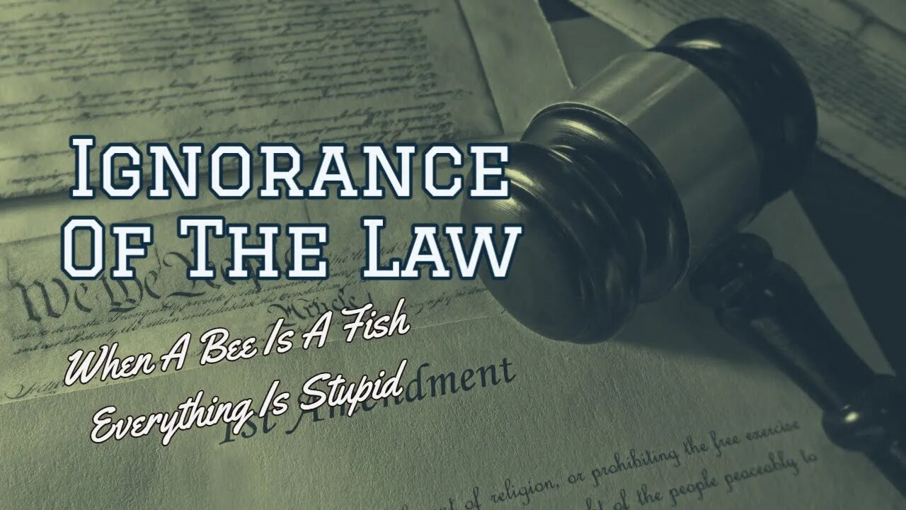 Ignorance Of The Law: When A Bee Is A Fish, Everything Is Stupid