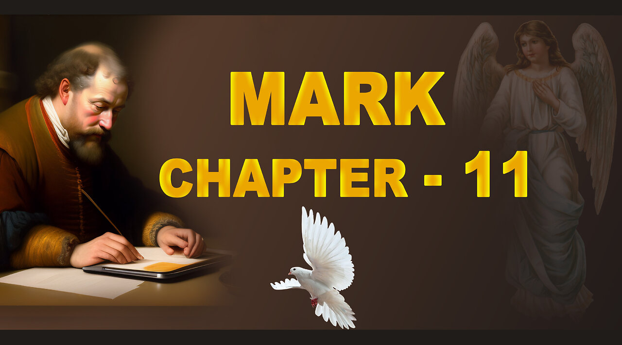 MARK CHAPTER 11