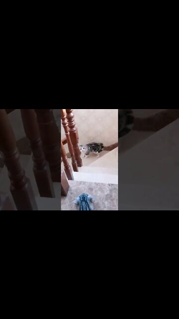 How your New Year be like