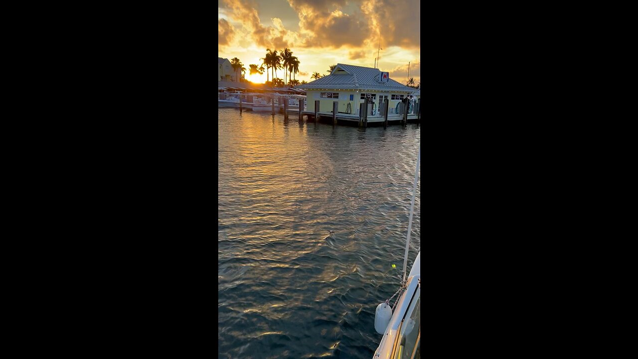 My favorite place in this world #florida #sunset