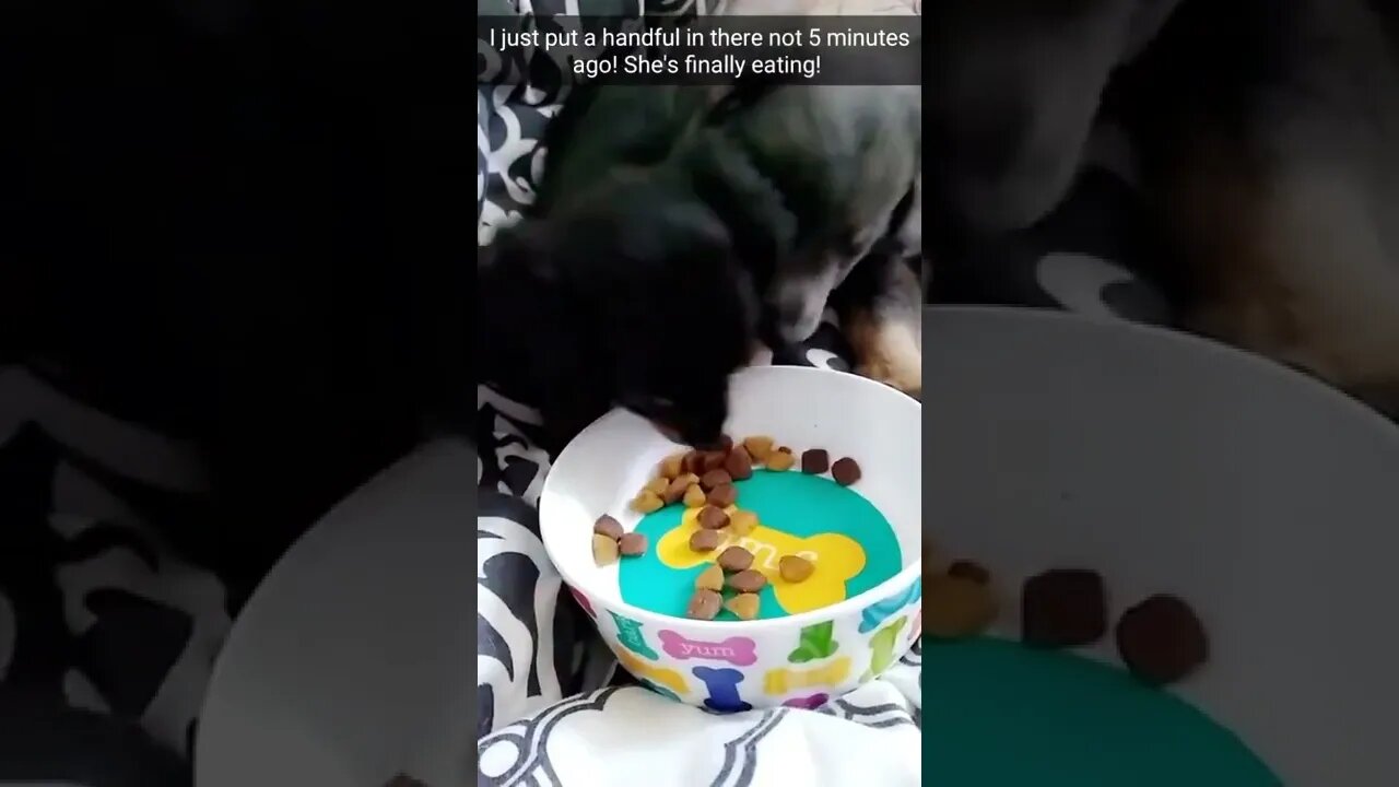 Iris And Jude Eating Together