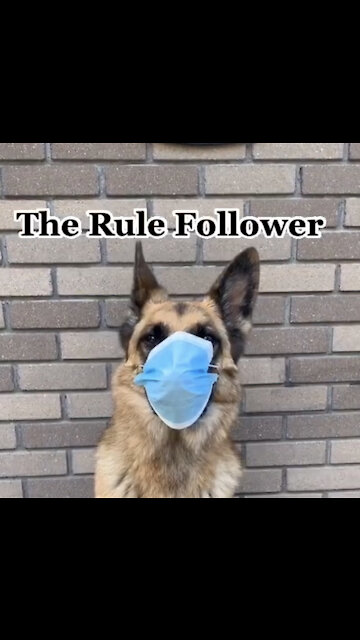 How do you wear your mask?