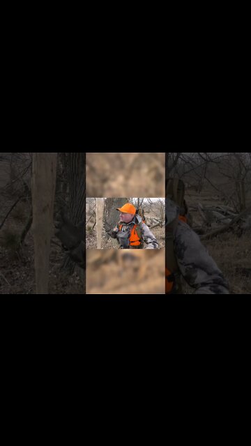 This is a Magnet for Buck Rubs #Shorts