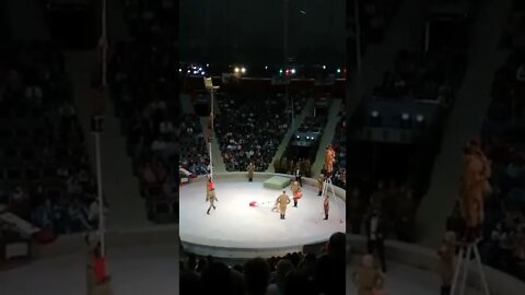 That's incredible! 👏