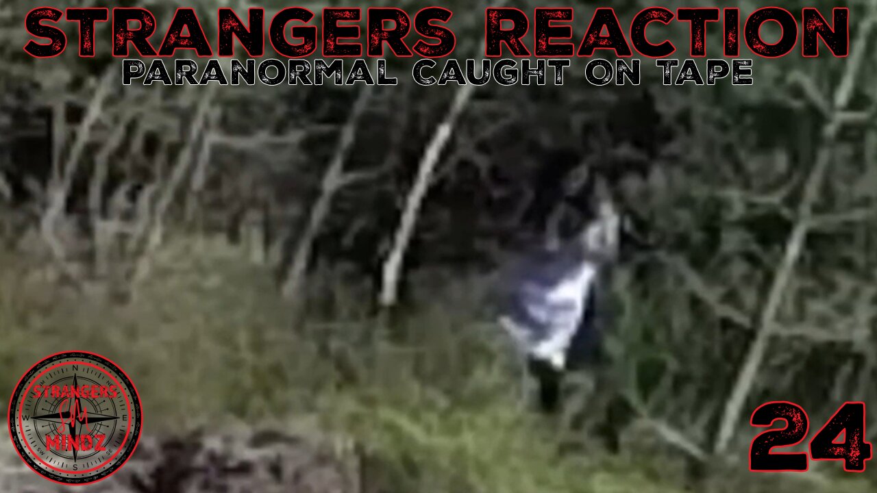 STRANGERS REACTION. Paranormal Caught On Tape. Paranormal Investigator Reacts. Episode 24