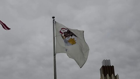 BANDERA DE ILLINOIS ESTADOS UNIDOS DE AMERICA ESTABLECIDO 1818