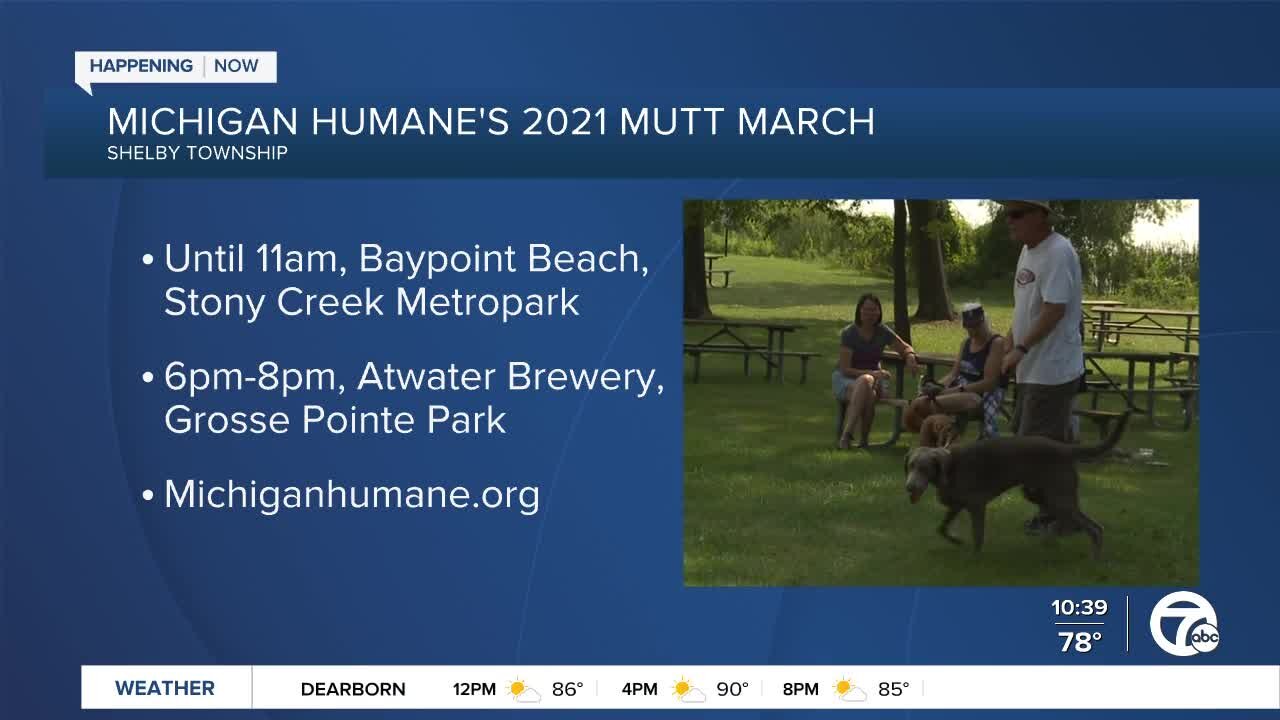 Mutt March 2021